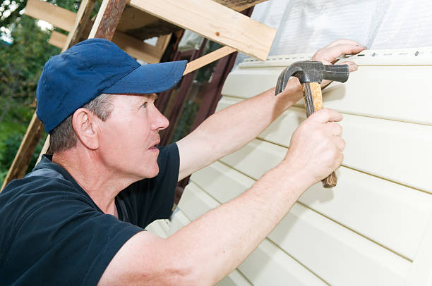 Affordable Siding Repair and Maintenance Services in Chatham, IL