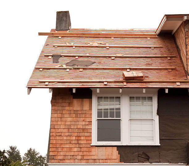 Best Wood Siding Installation  in Chatham, IL