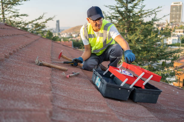 Best Siding Replacement  in Chatham, IL